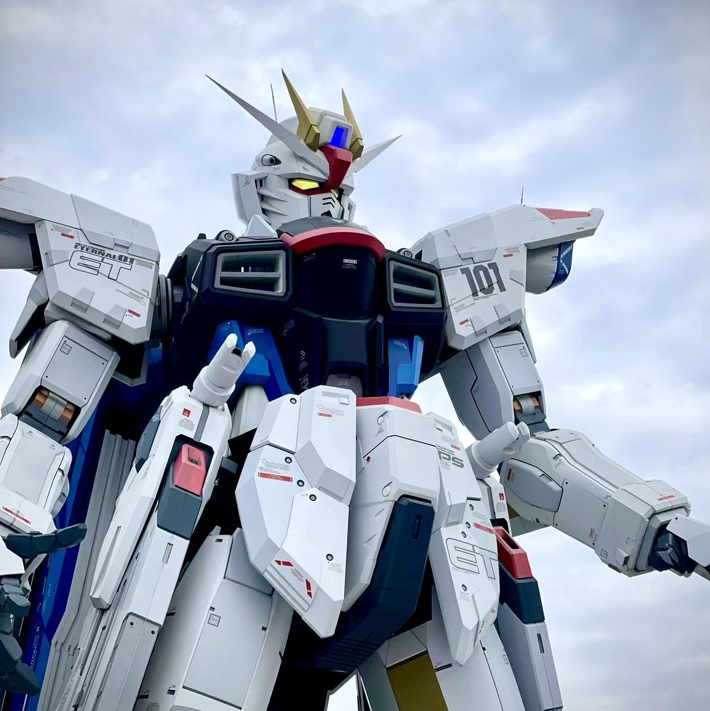 大司马公主抱PDD