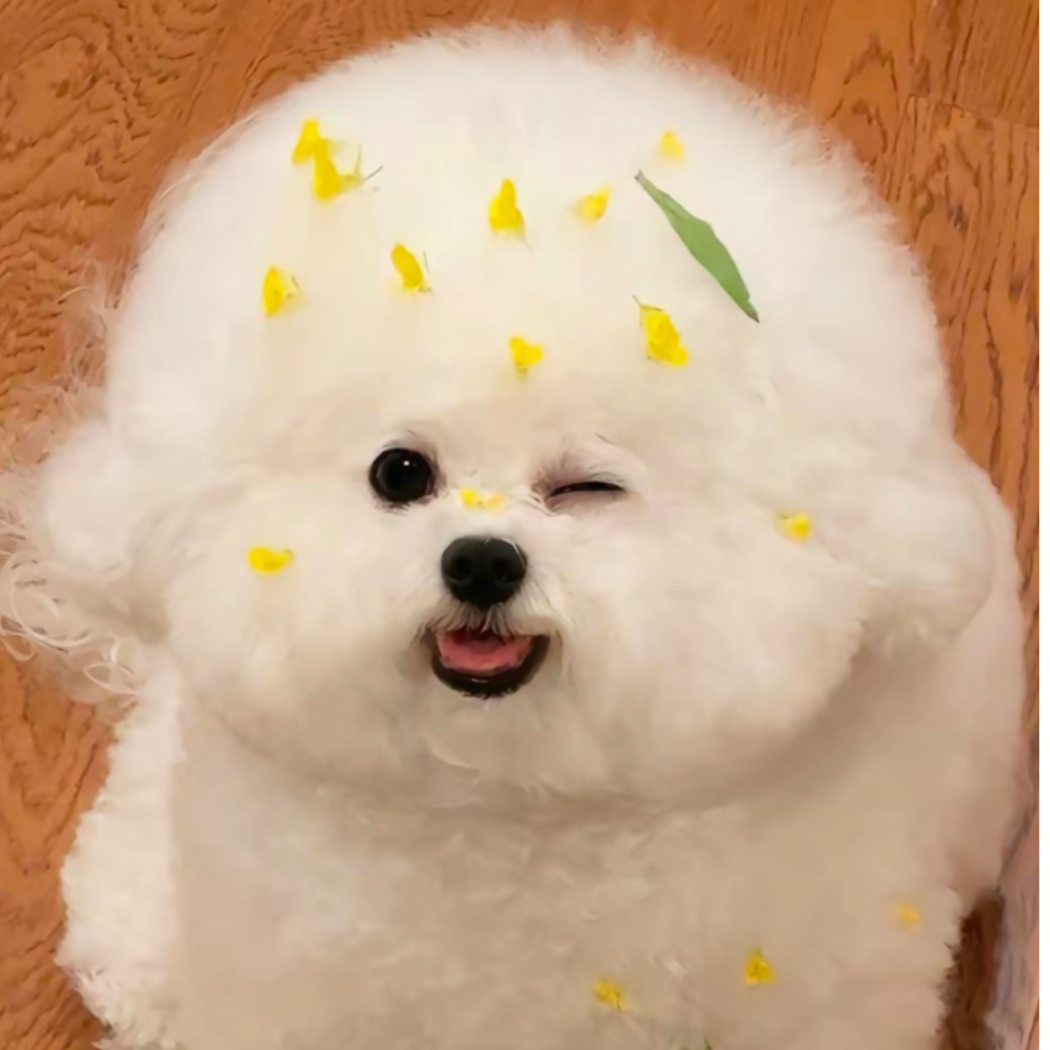 煦桉
