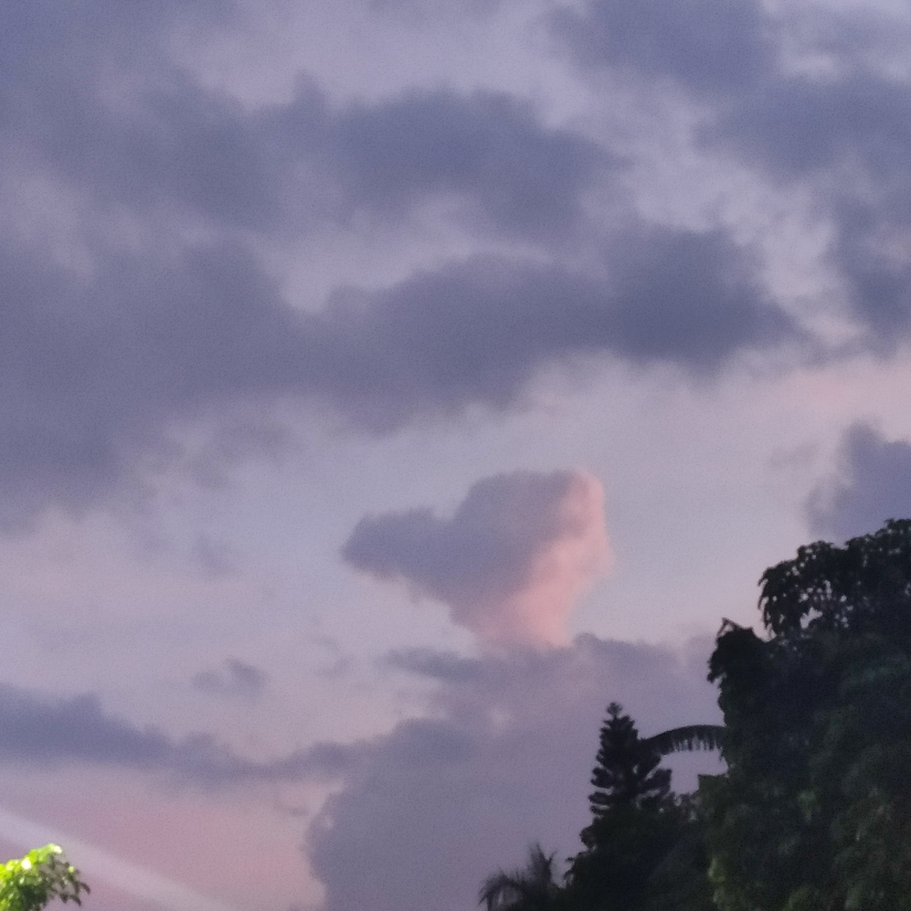 你还没回家呀