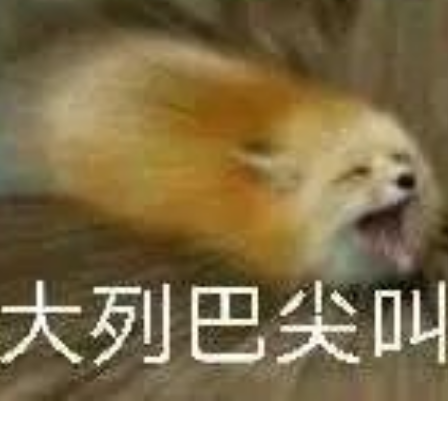 狐狸郎中