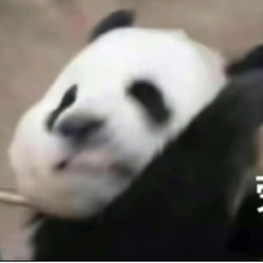 情深不寿