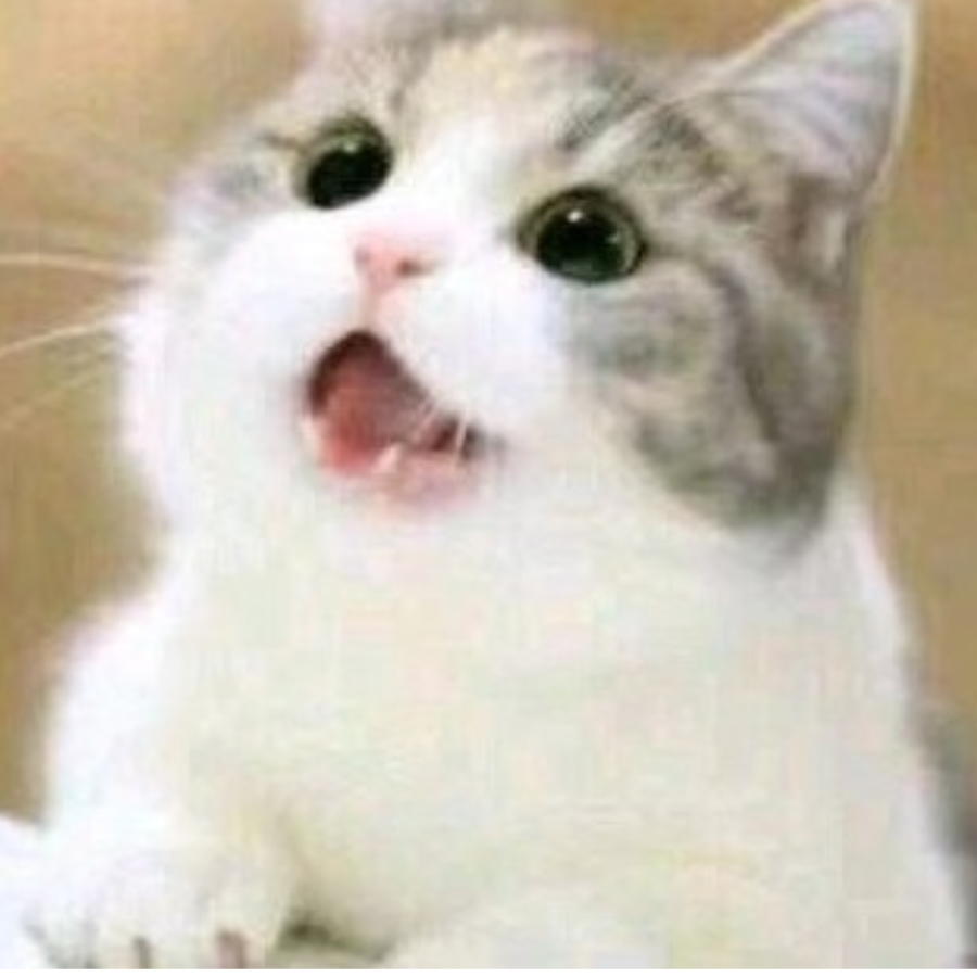 羽诺