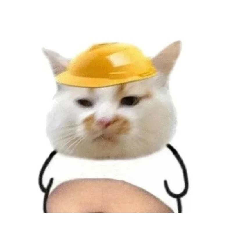 (ง •-•)