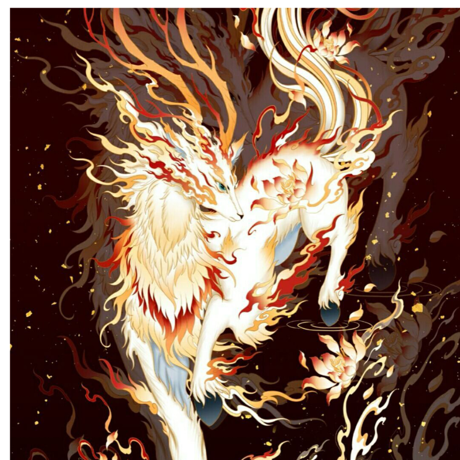 灵芷羽