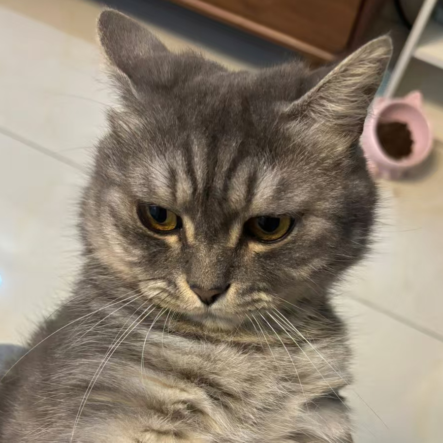 十分(o^^o)