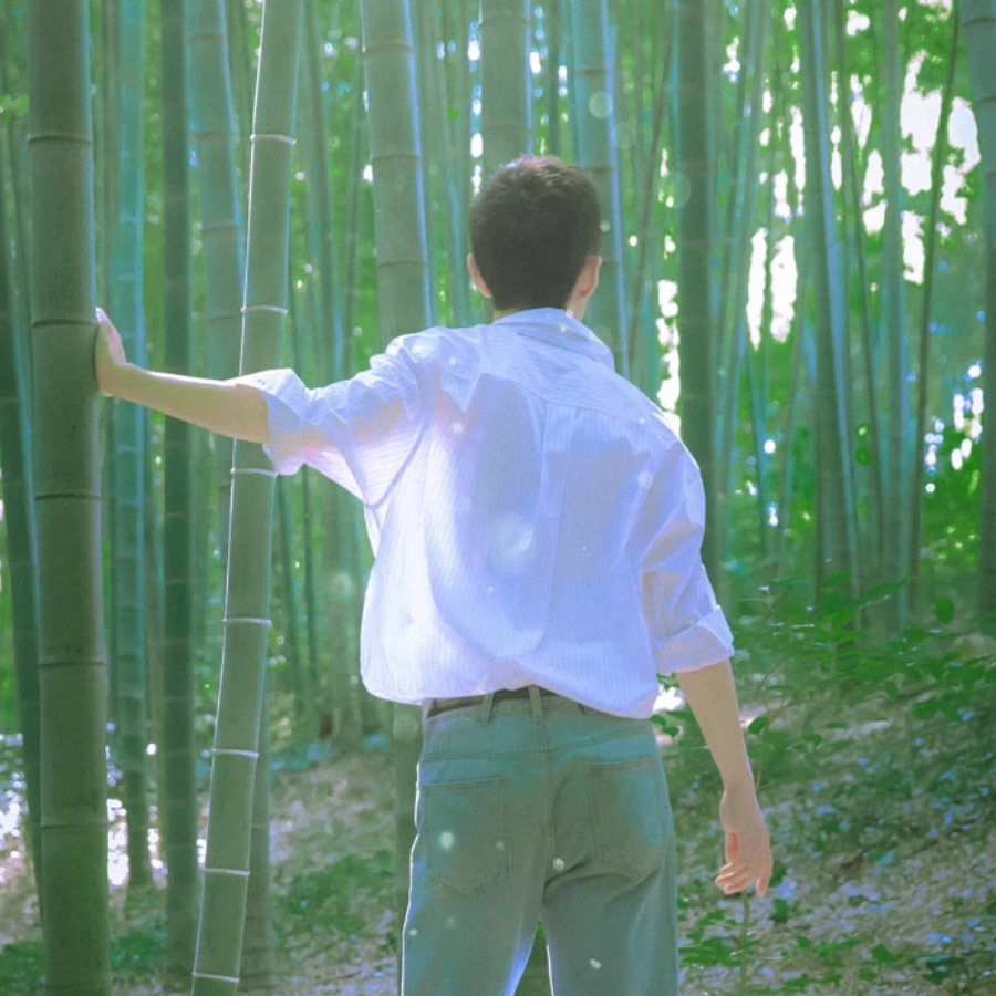 渺渺兮予怀