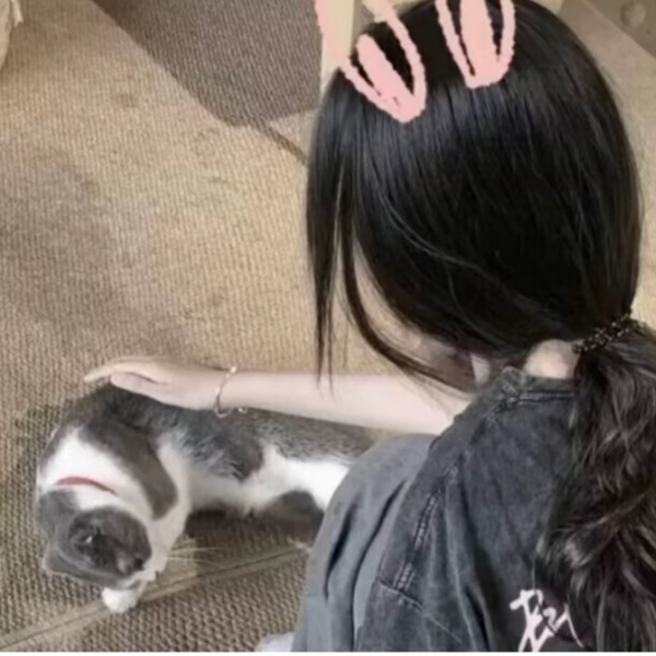 圈圈