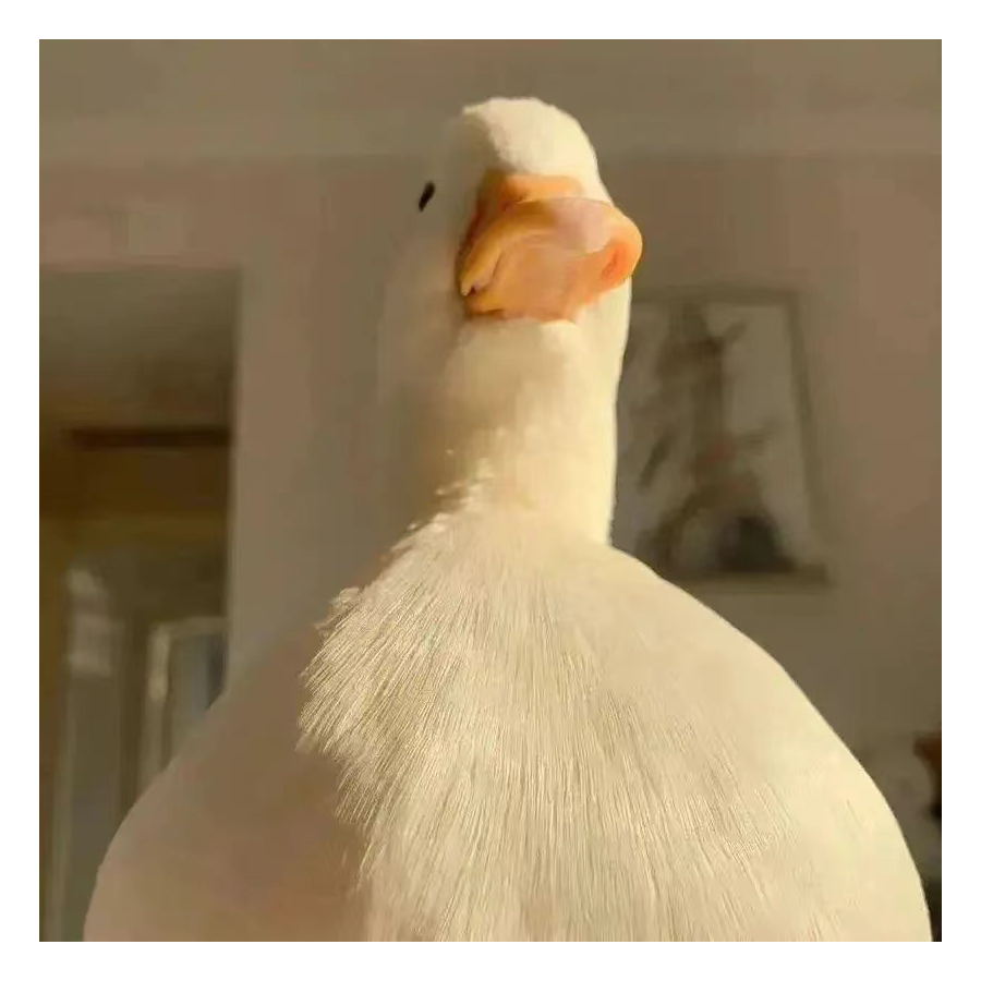 甲子