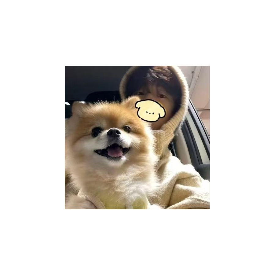 淑女