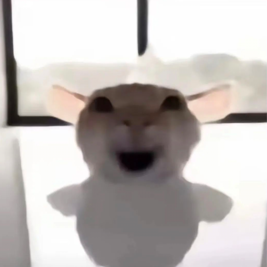 浣影