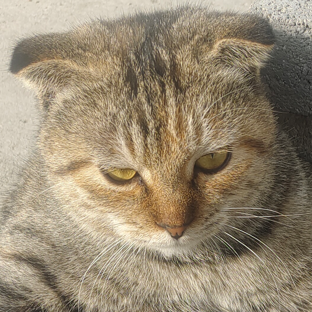小溪