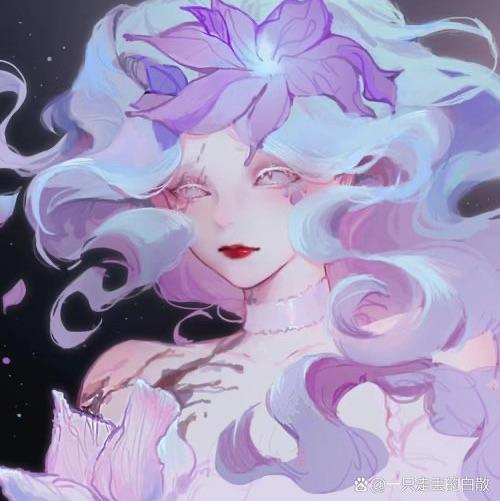 养生茶