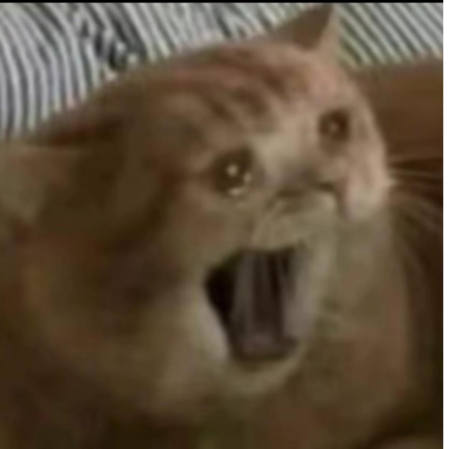 云不焕