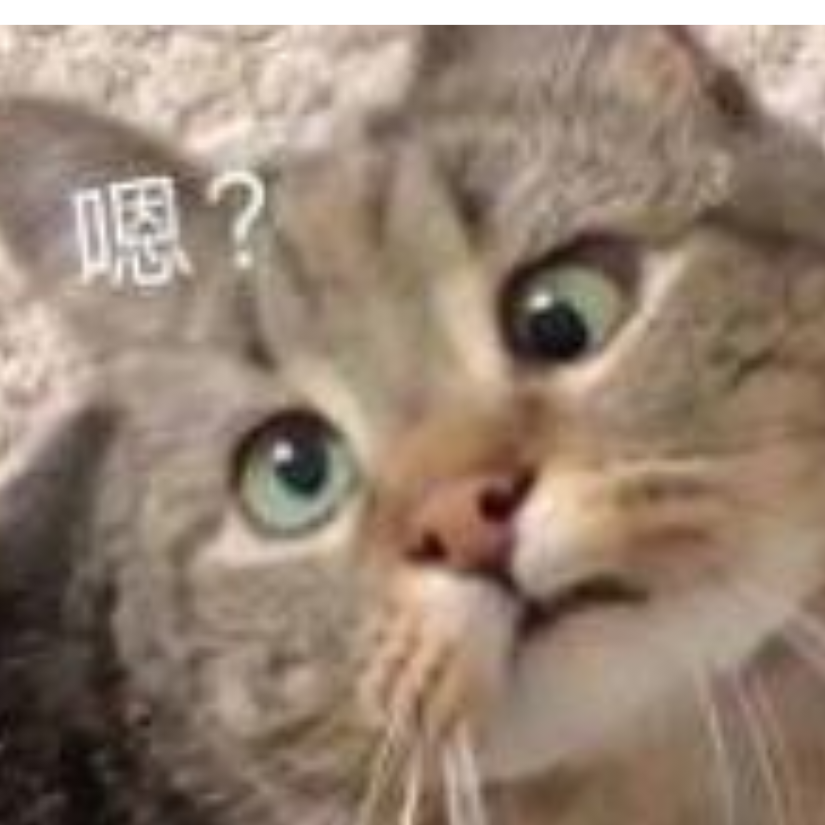 耳百