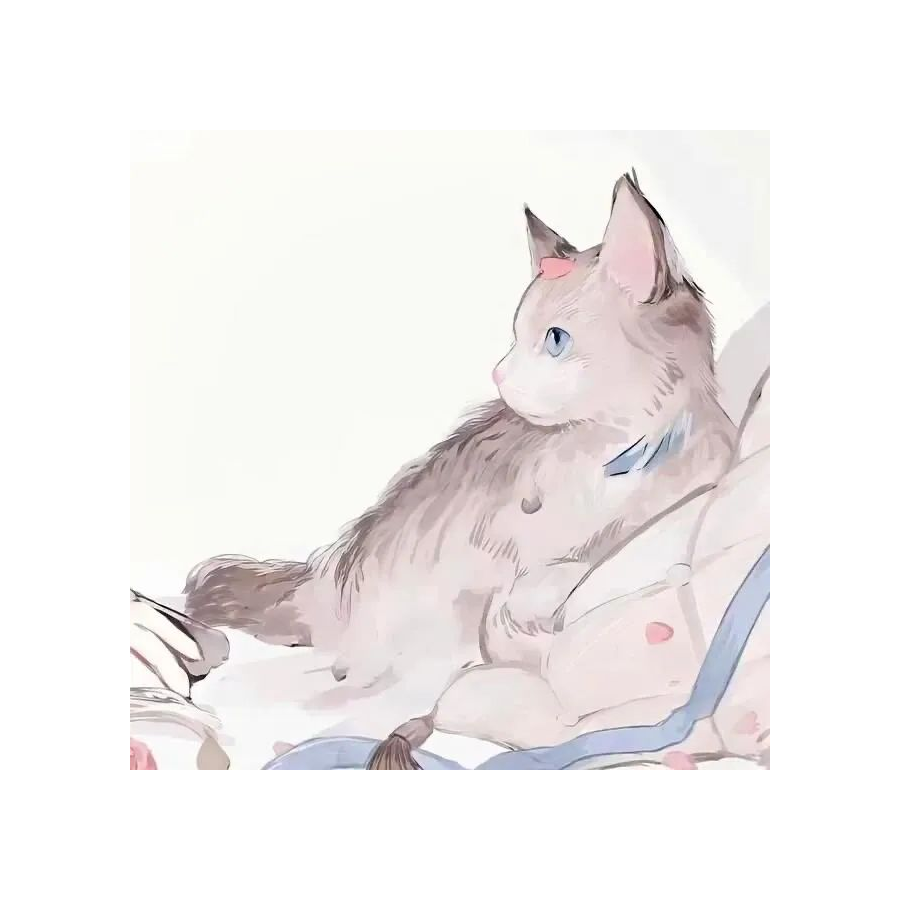 啊喵不是猫丶