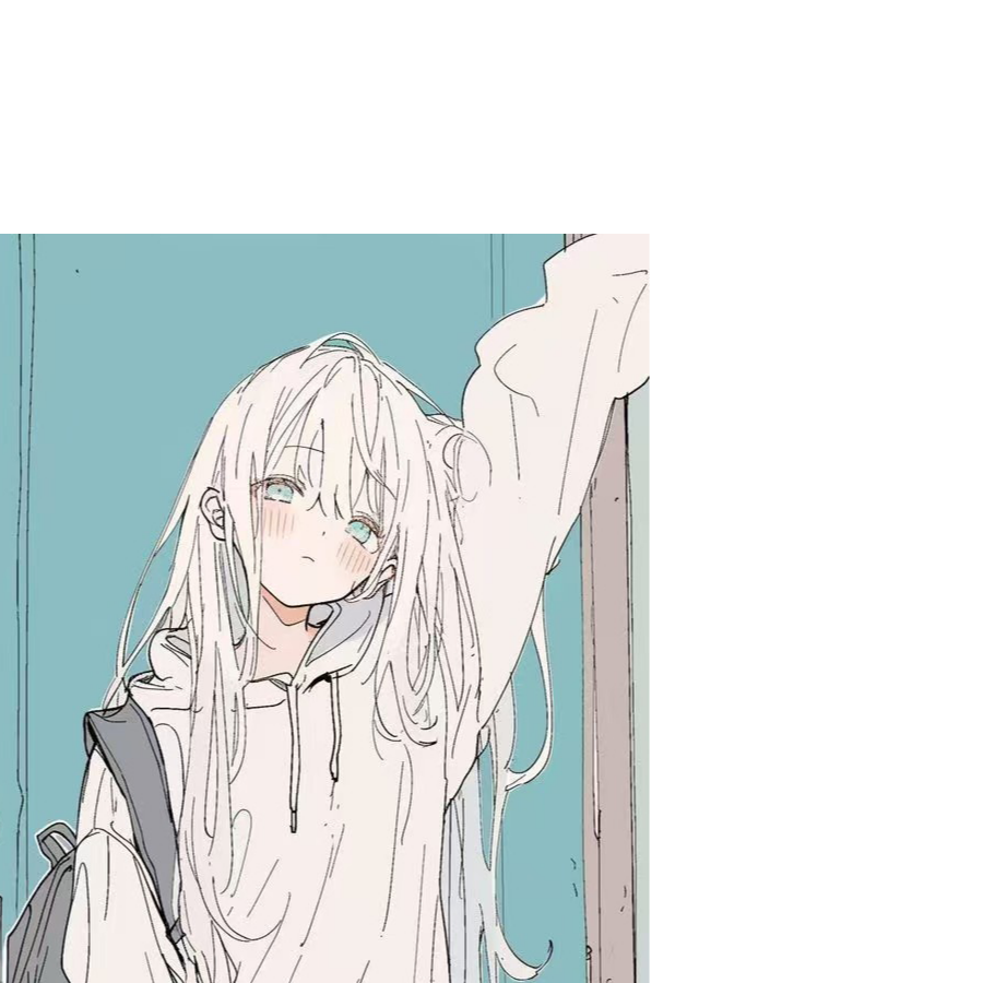 baka巴卡