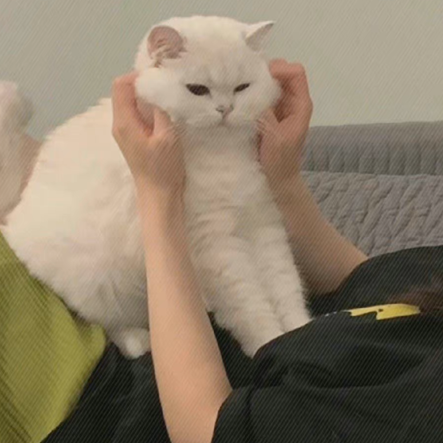霸霸