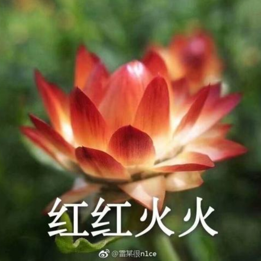 二十二岁扶墙写码