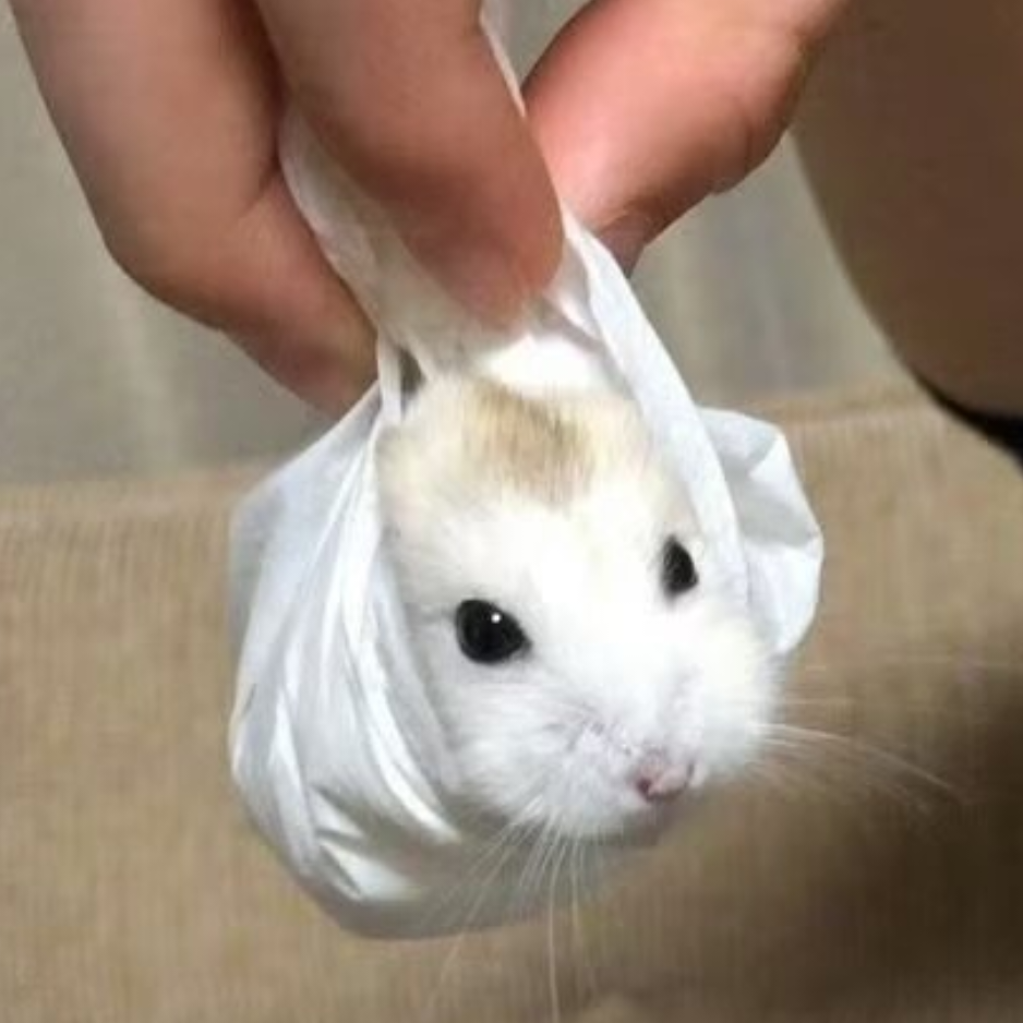 筱涷