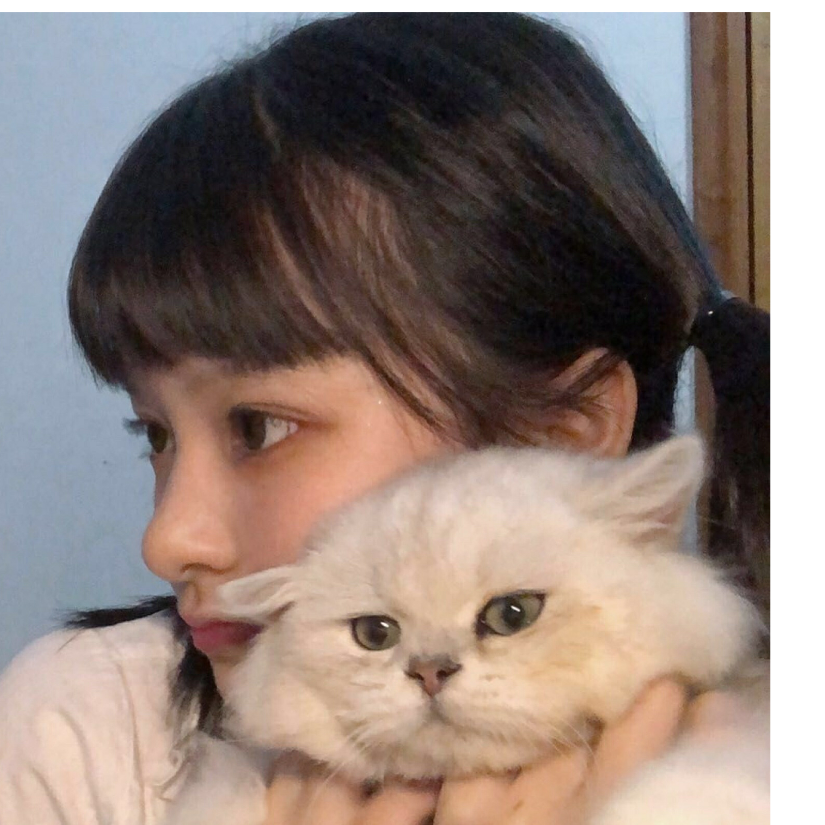 会飞的猫ᥬ🐱᭄