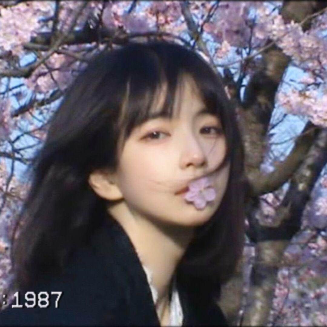 提笔废江山