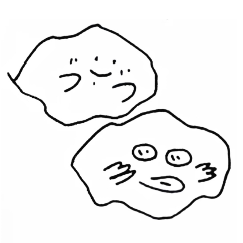 冬灰