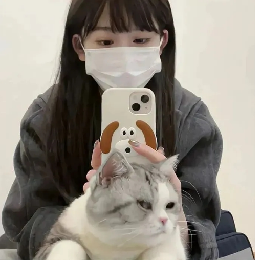 小羊