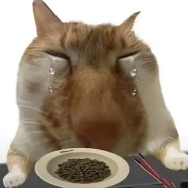 期待下次见面