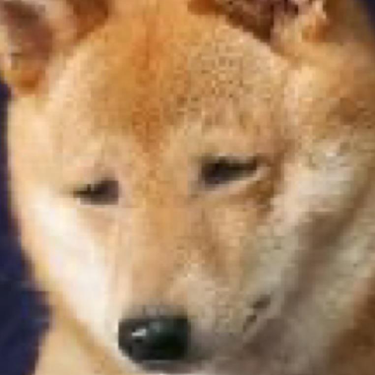 犄角唧唧唧