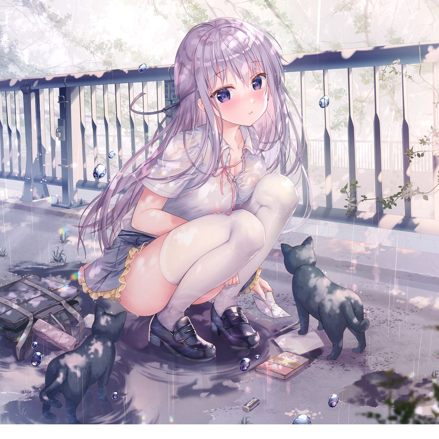 不续