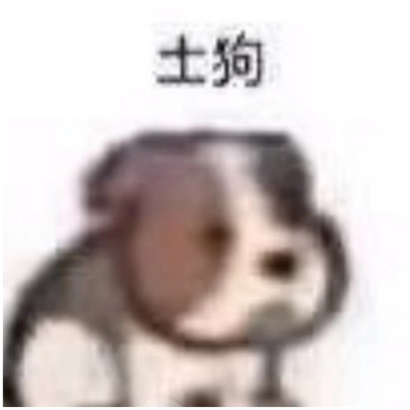 忘川君