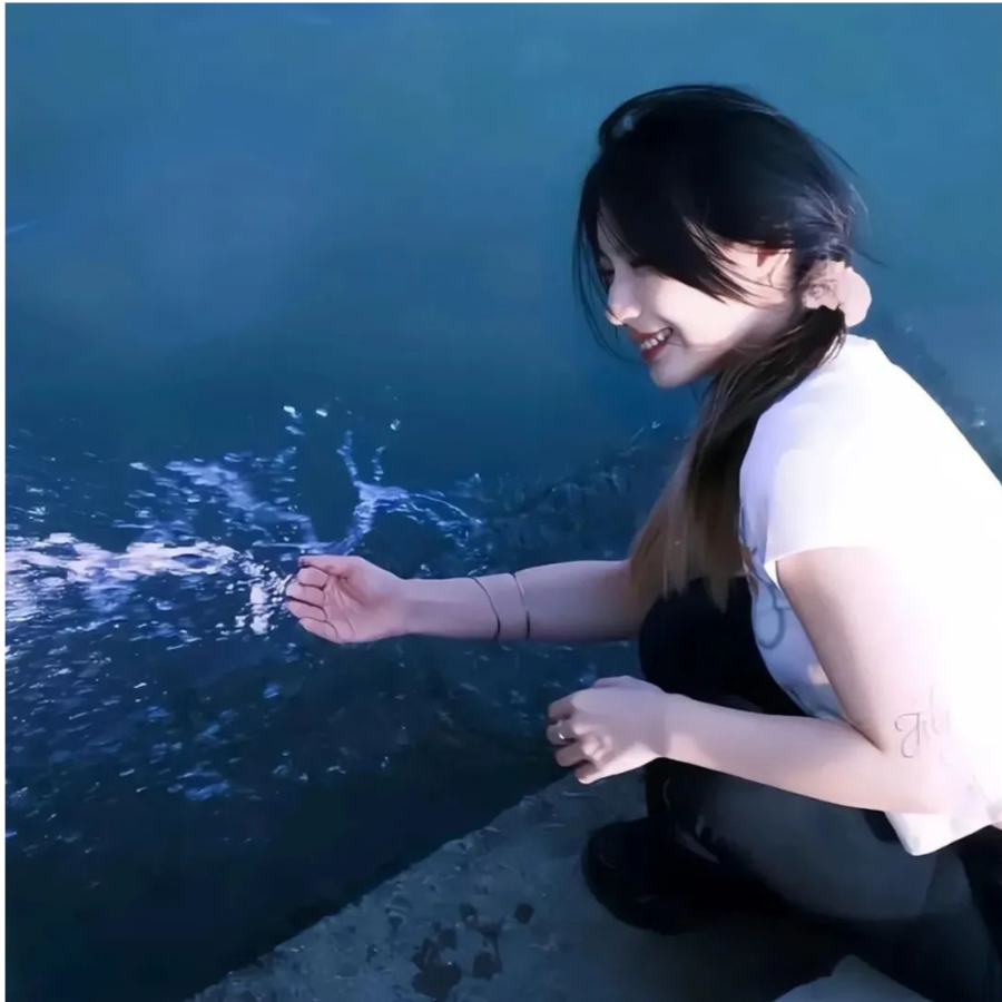 与枫浔