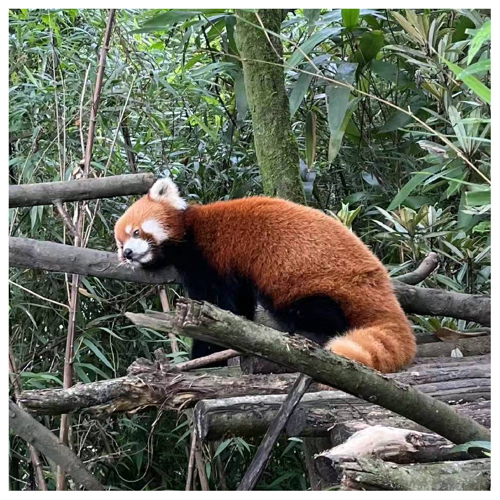 认住尼只英