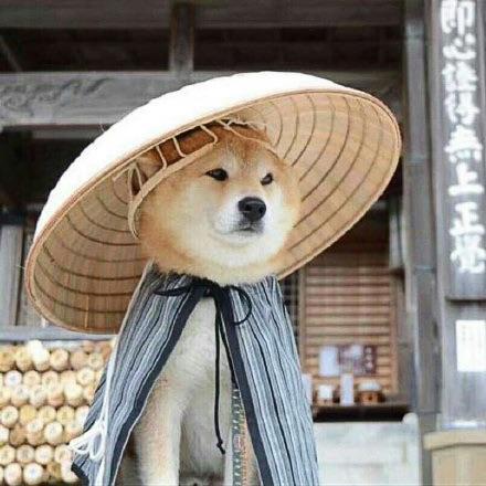 早点水饺