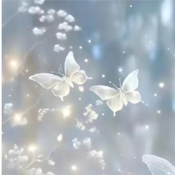 星空下的孤独