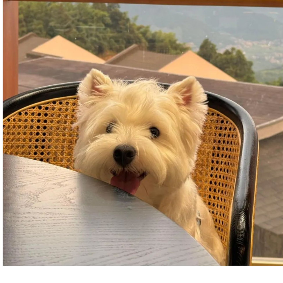 小珈