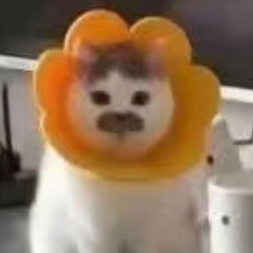 积极阳阳光向上