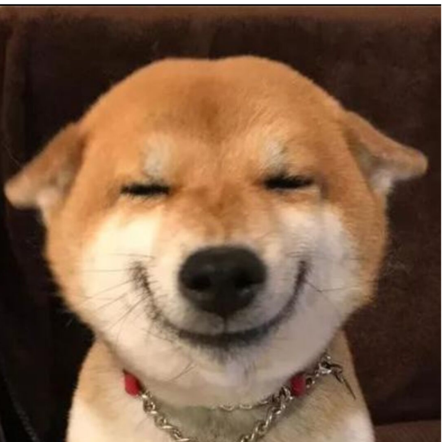韶华