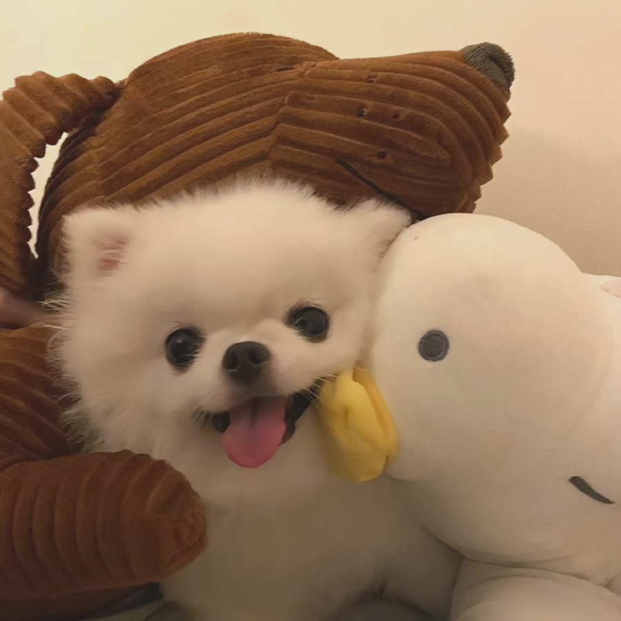 芒焰