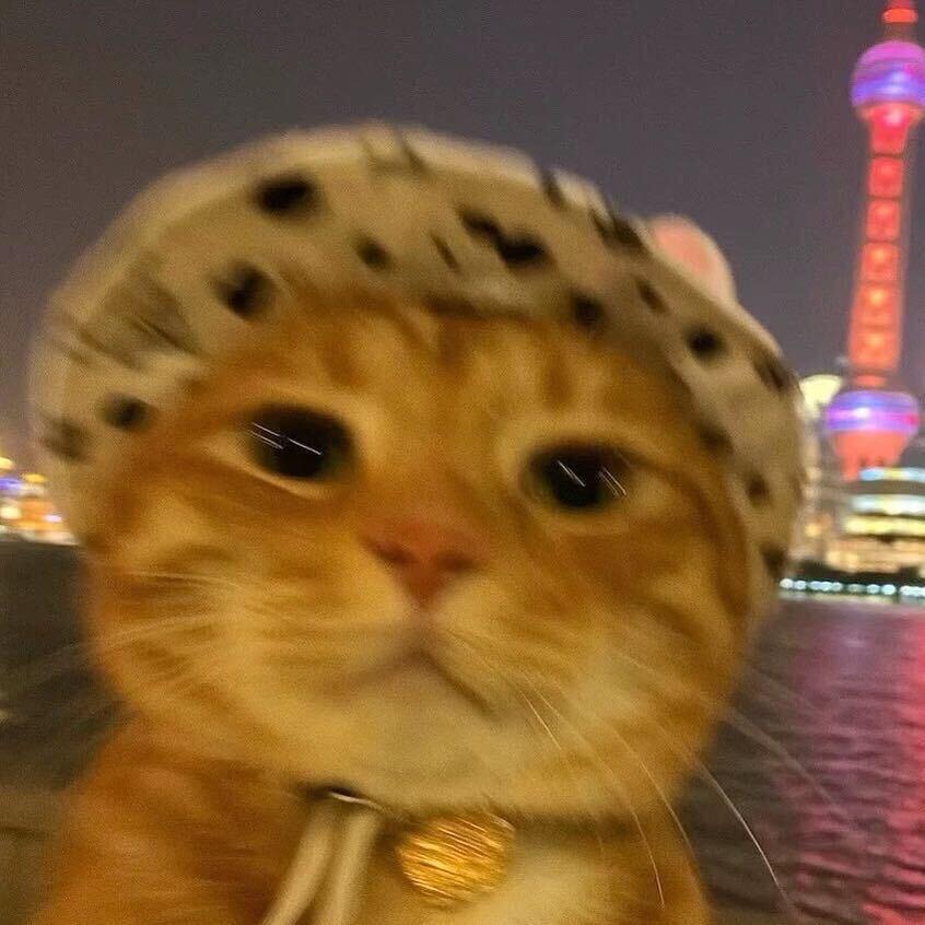 暗游的嗣