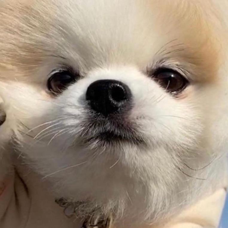 小落