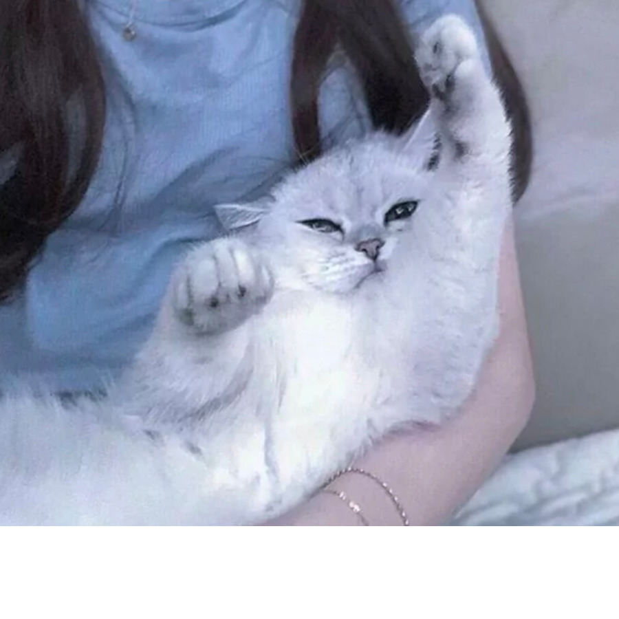 爱小媛媛啊