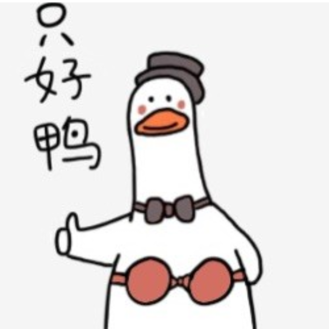 一只好鸭gzdgkd