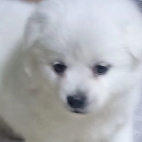 LL～(￣▽￣～)~