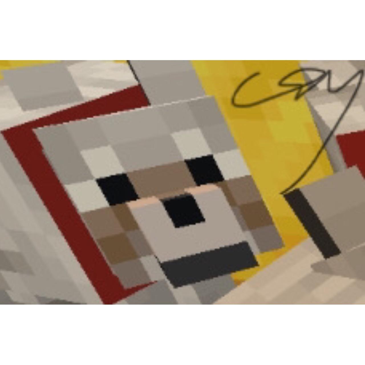 csy.