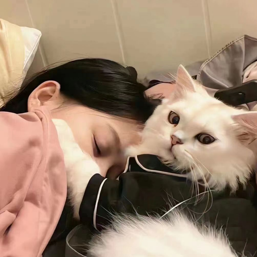 哇