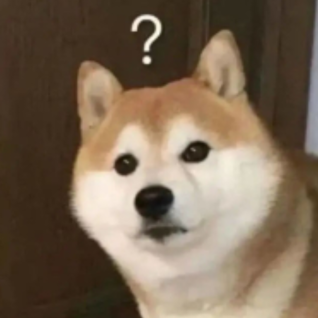 养老萌新必出好船