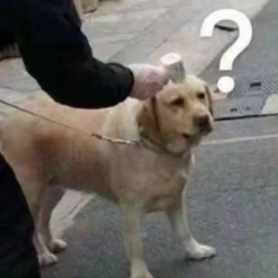 咔咔嚓酱