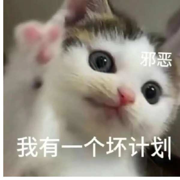 依依