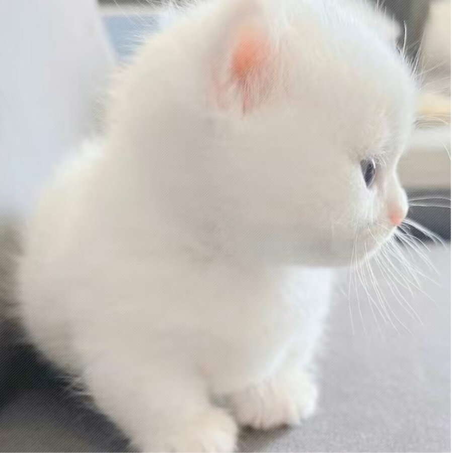 黑相崎